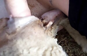 Phim thú tính nam cuồng nhiệt đạt cực khoái